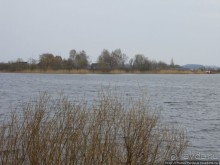 У Преподобного Нила