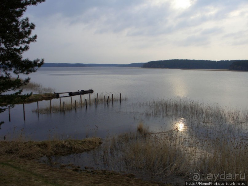 У Преподобного Нила