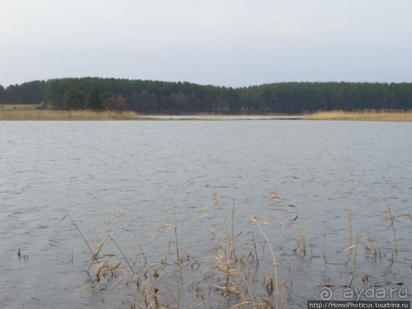 У Преподобного Нила