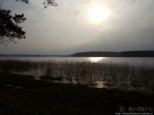 У Преподобного Нила