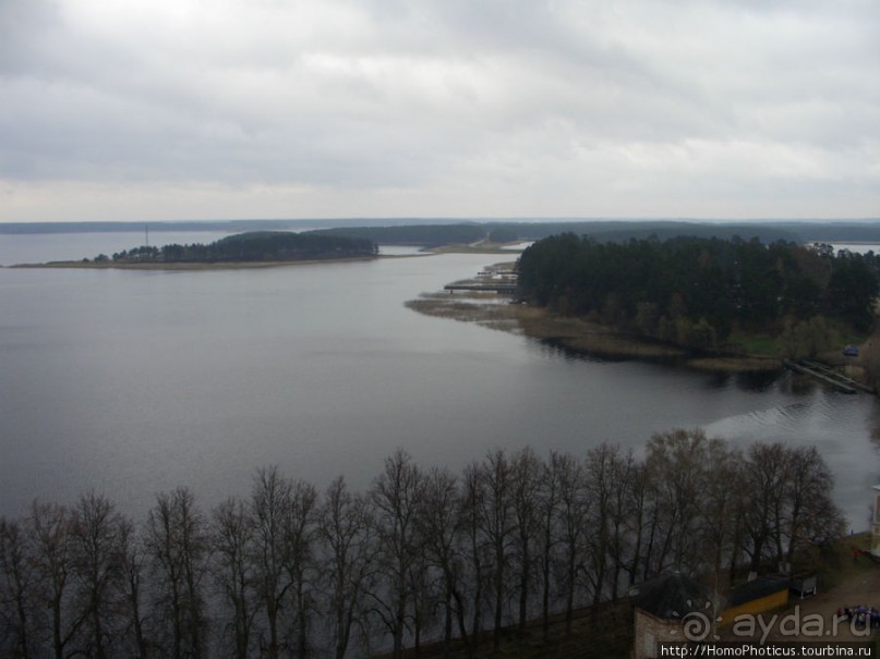 У Преподобного Нила