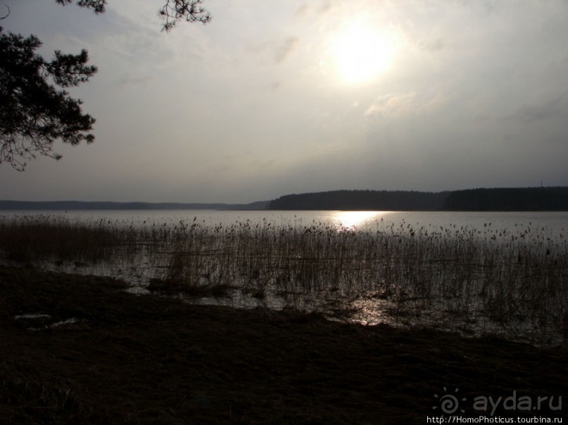 У Преподобного Нила