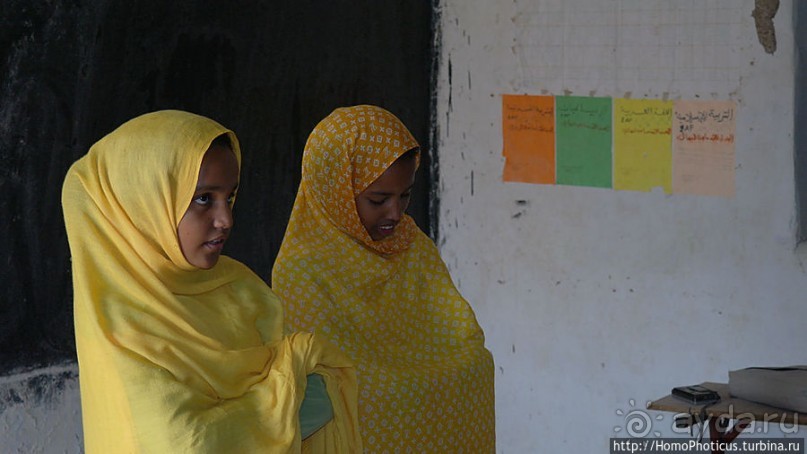 Просветительская миссия