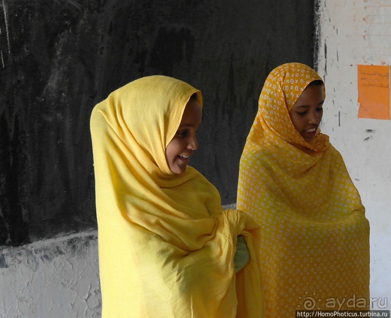 Просветительская миссия