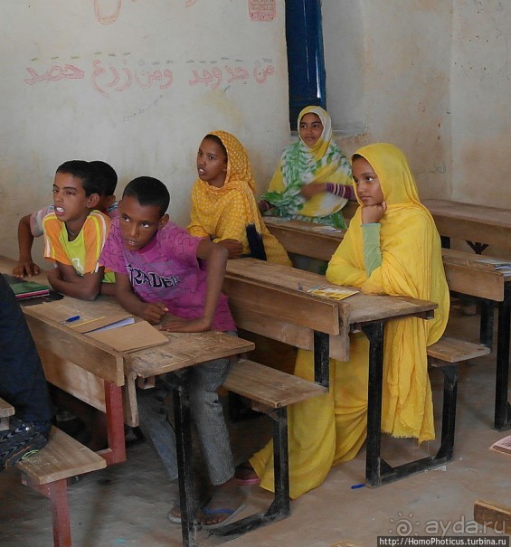 Просветительская миссия