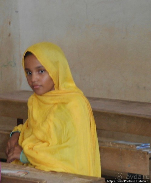 Просветительская миссия