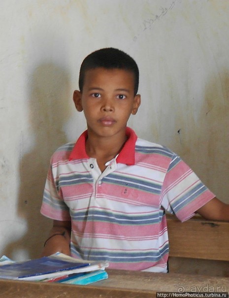 Просветительская миссия