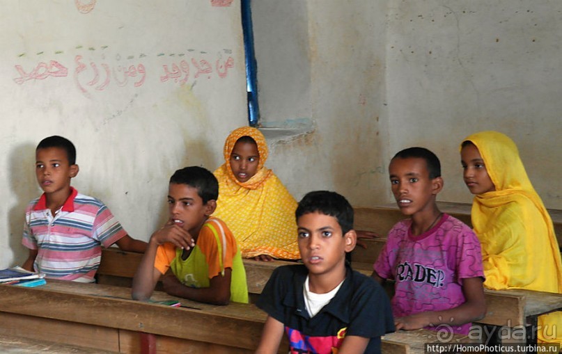 Просветительская миссия