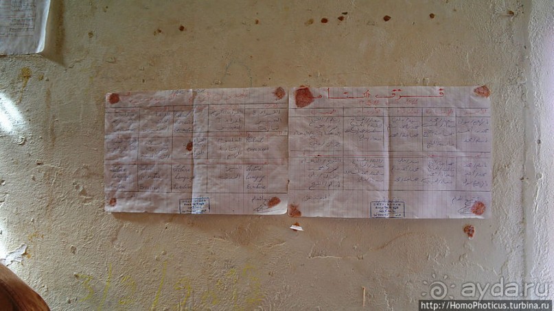 Просветительская миссия