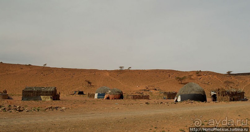 Просветительская миссия