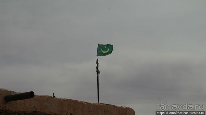 Просветительская миссия