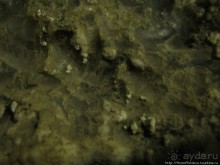 Копи царевны Кинги