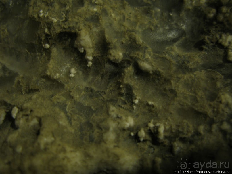 Копи царевны Кинги