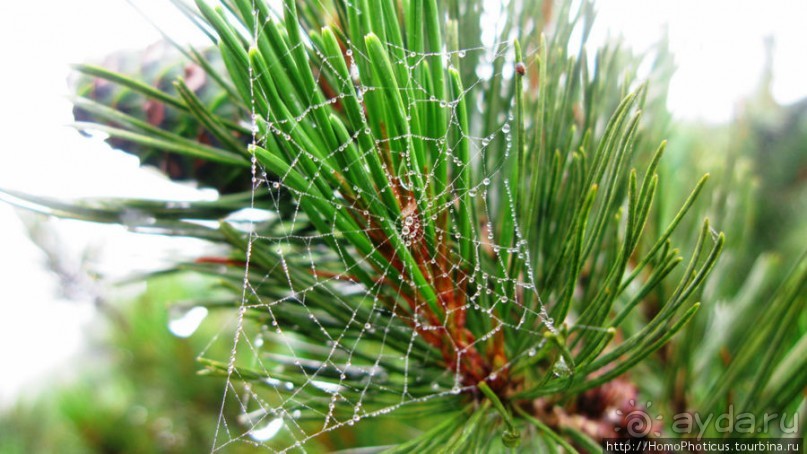 Озеро - с водой вареной, опосля - с водой студеной...