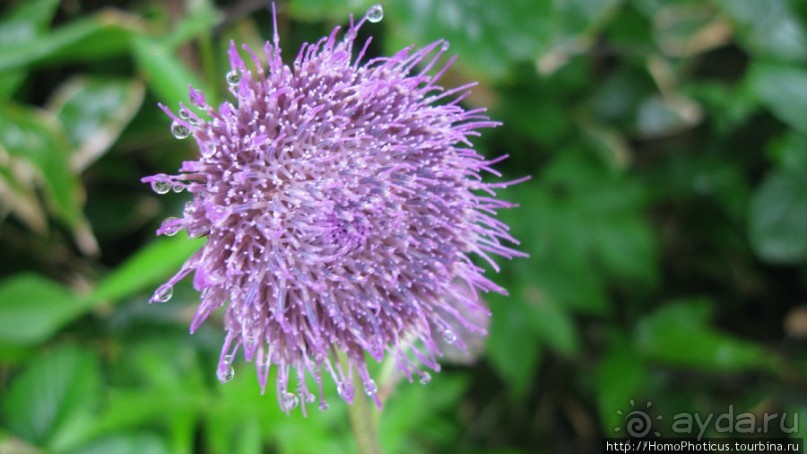 Озеро - с водой вареной, опосля - с водой студеной...