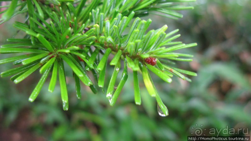 Озеро - с водой вареной, опосля - с водой студеной...