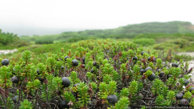 Озеро - с водой вареной, опосля - с водой студеной...