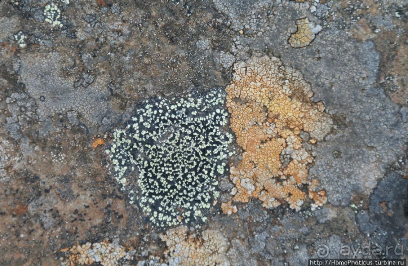 Ледяной фьорд