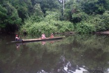 В гостях у мамы Розы