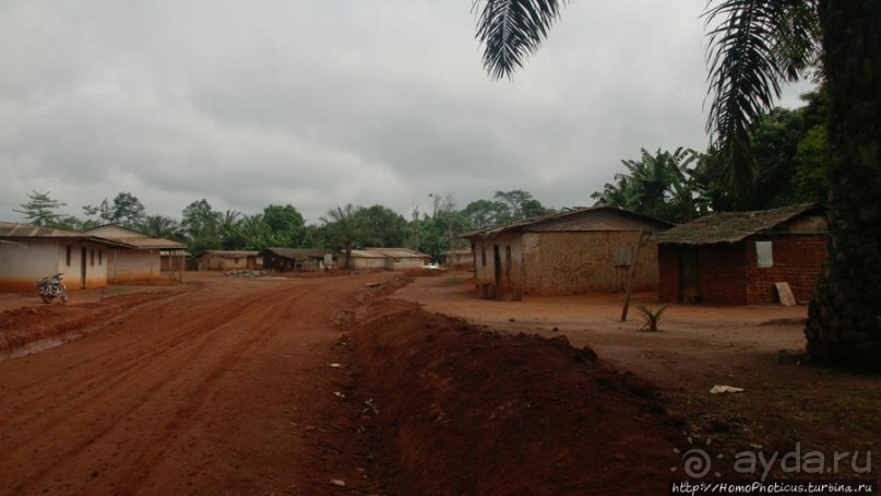 В гостях у мамы Розы