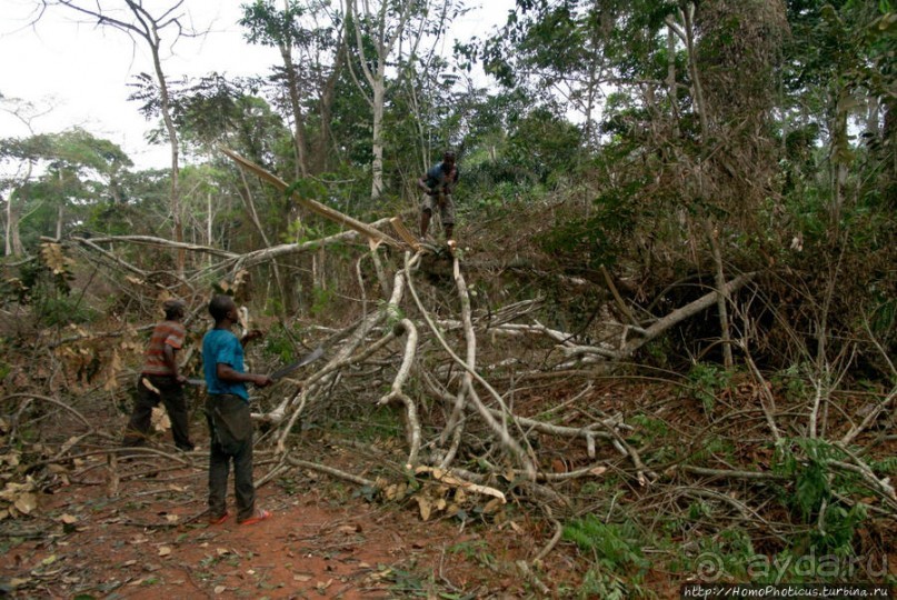 В гостях у мамы Розы