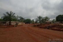 В гостях у мамы Розы