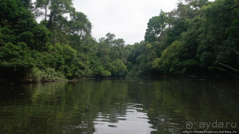 В гостях у мамы Розы