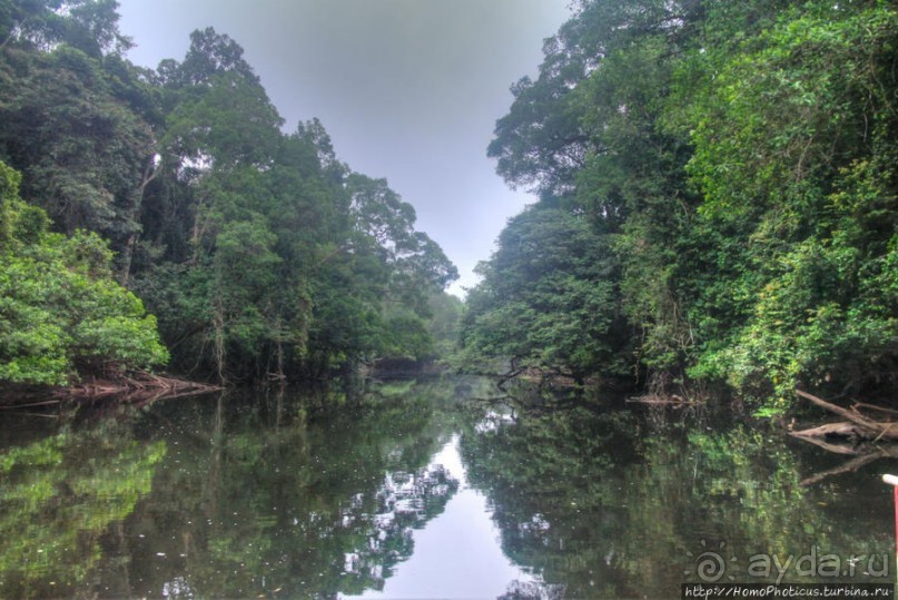 В гостях у мамы Розы