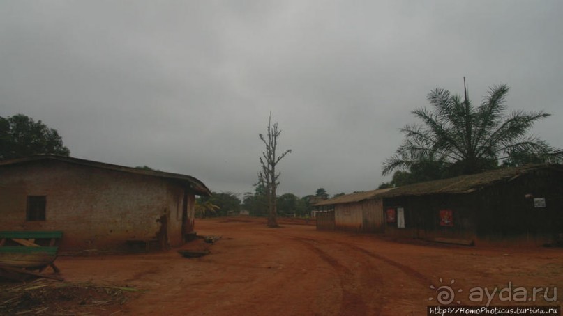 В гостях у мамы Розы