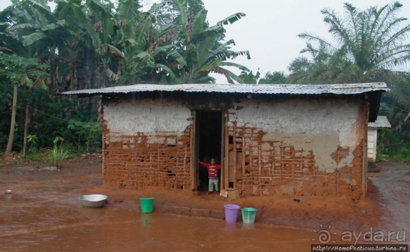 В гостях у мамы Розы