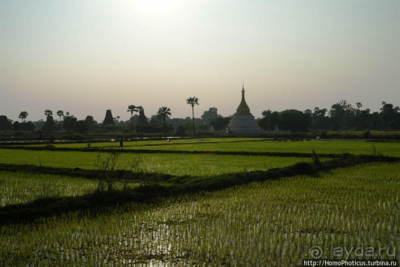 Монастырь Королевы главного дворца