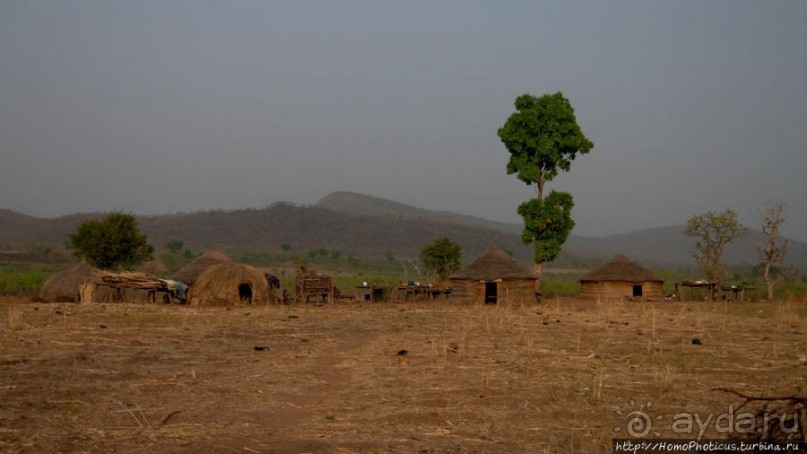 Мбороро: деревня и кочевье