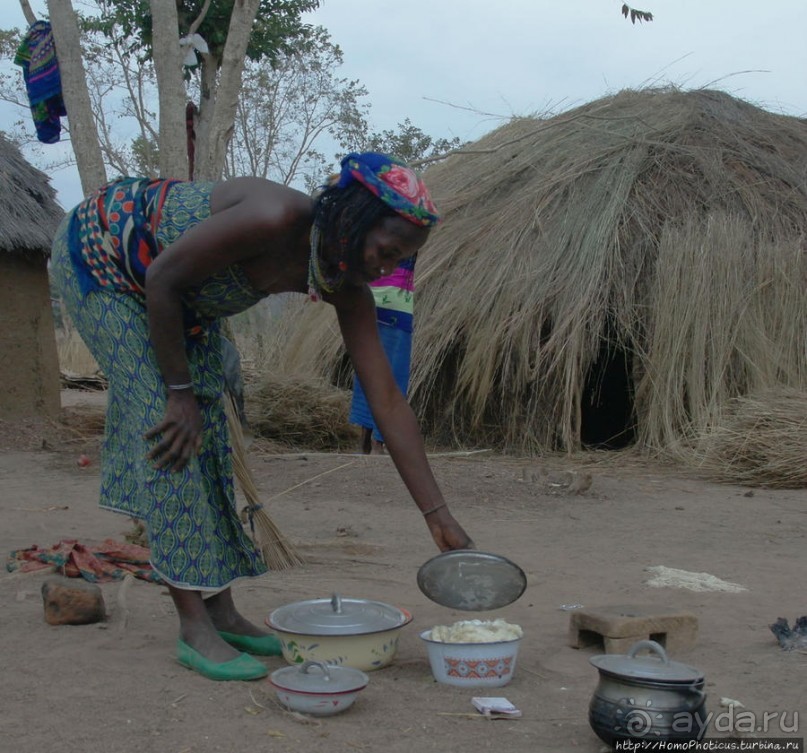 Мбороро: деревня и кочевье