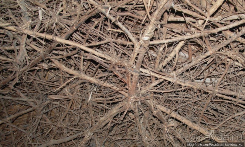 Мбороро: деревня и кочевье