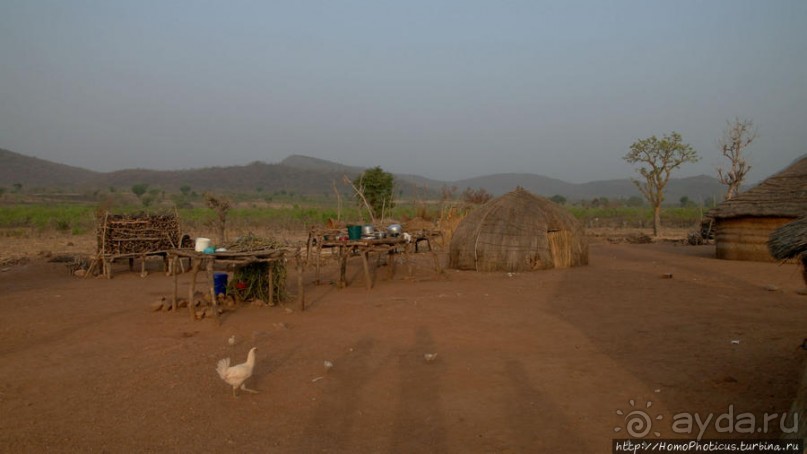 Мбороро: деревня и кочевье