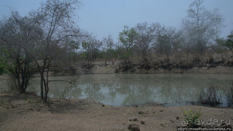 Мбороро: деревня и кочевье