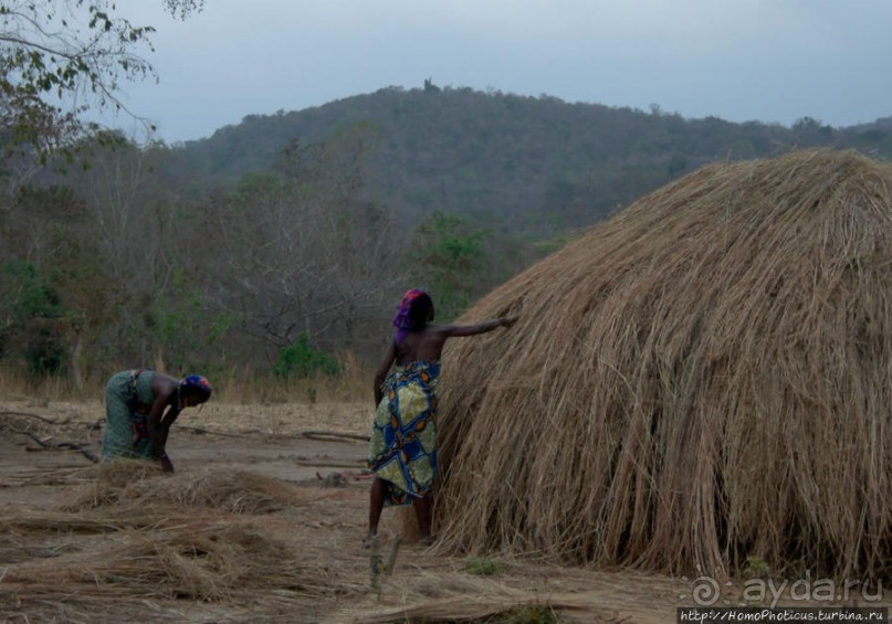 Мбороро: деревня и кочевье