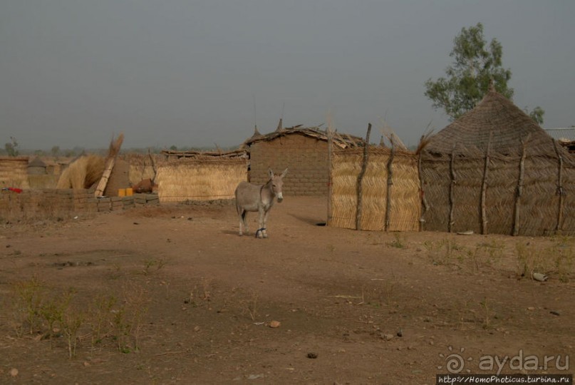 Мбороро: деревня и кочевье
