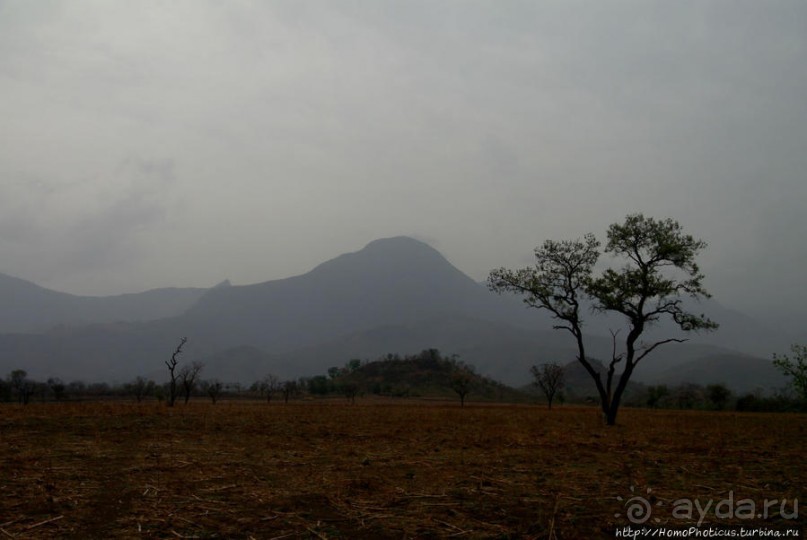 Мбороро: деревня и кочевье