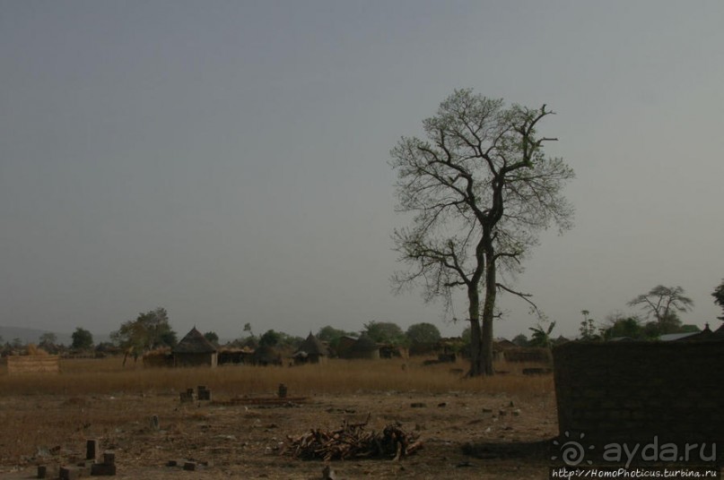 Мбороро: деревня и кочевье