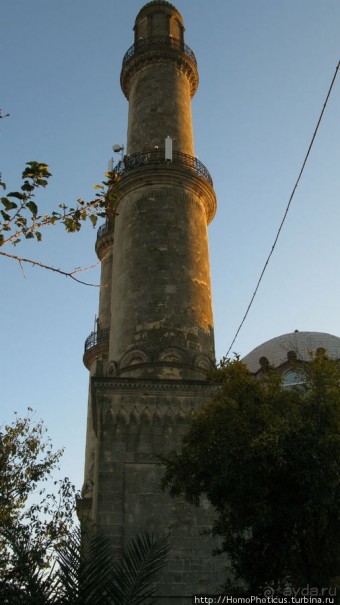 Нефть и газ