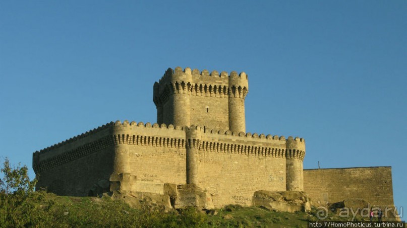 Нефть и газ