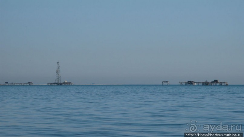 Нефть и газ