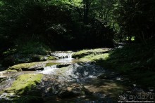 Изумрудные тоннели