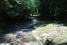 Изумрудные тоннели