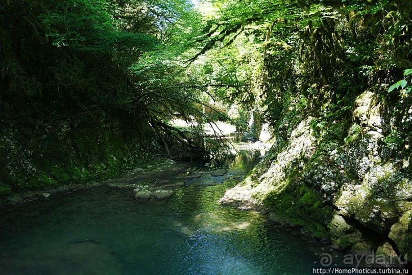 Изумрудные тоннели