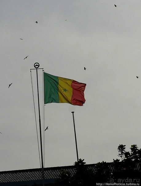 фото Дакара