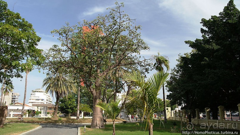 На Зеленом мысу, в самой западной Африке