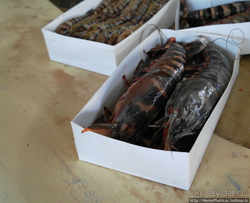 На Зеленом мысу, в самой западной Африке