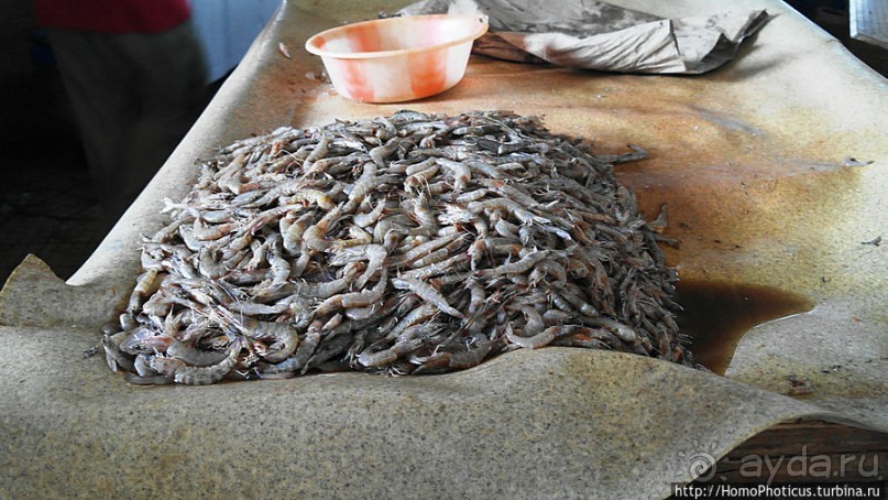 фото Дакара